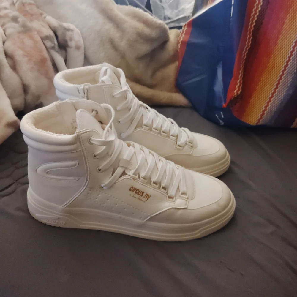 CIRCUS by SAM EDELMAN Irving Lace Up High Top Sneakers 9.5